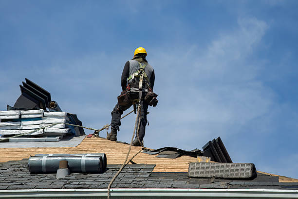 Professional Metal Roofing technician working in Dansville, NY